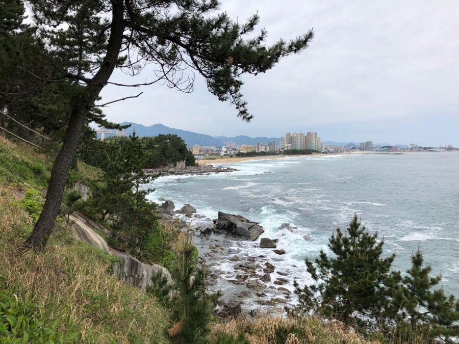 綠意盎然的束草外甕峙山麓，遠眺海岸線與城市天際。
